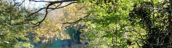Header billede